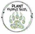Marble Queen Pothos 6"