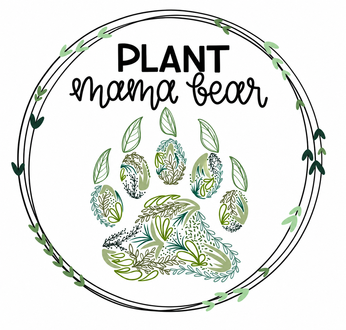 Marble Queen Pothos 6"